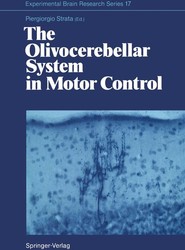 The Olivocerebellar System in Motor Control