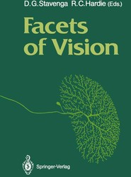 Facets of Vision