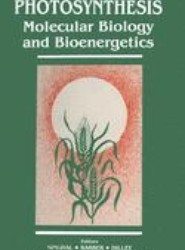 Photosynthesis