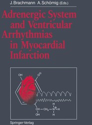 Adrenergic System and Ventricular Arrhythmias in Myocardial Infarction