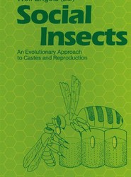 Social Insects