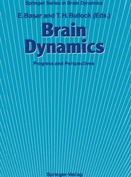 Brain Dynamics