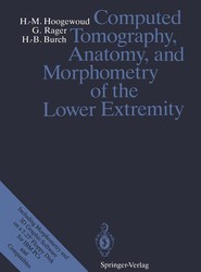 Computed Tomography, Anatomy, and Morphometry of the Lower Extremity