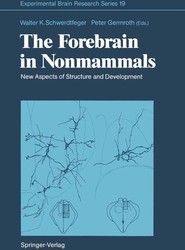 The Forebrain in Nonmammals