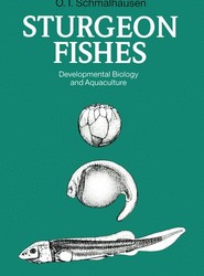 Sturgeon Fishes