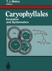 Caryophyllales
