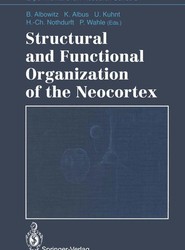 Structural and Functional Organization of the Neocortex