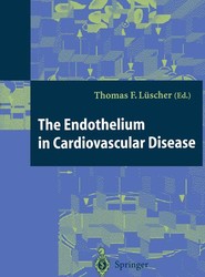 The Endothelium in Cardiovascular Disease
