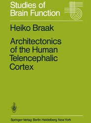 Architectonics of the Human Telencephalic Cortex