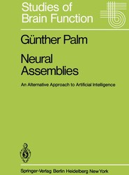 Neural Assemblies