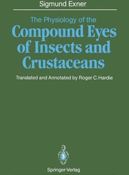 The Physiology of the Compound Eyes of Insects and Crustaceans