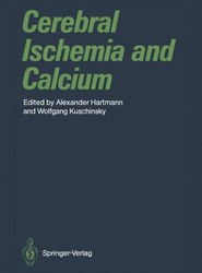 Cerebral Ischemia and Calcium