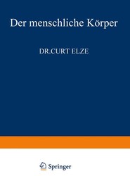 Der Menschliche Koerper