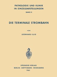 Die Terminale Strombahn