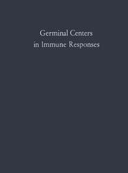Germinal Centers in Immune Responses
