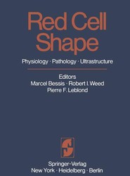Red Cell Shape