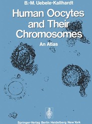 Human Oocytes and Their Chromosomes