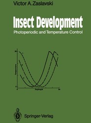 Insect Development
