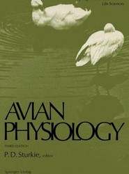 Avian Physiology