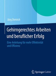 Gehirngerechtes Arbeiten und beruflicher Erfolg