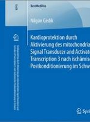 Kardioprotektion durch Aktivierung des mitochondrialen Signal Transducer and Activator of Transcription 3 nach ischamischer Postkonditionierung im Schwein