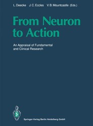 From Neuron to Action