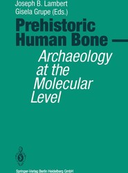 Prehistoric Human Bone