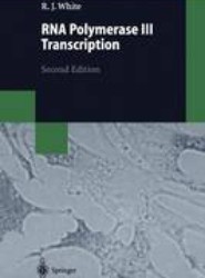 RNA Polymerase III Transcription