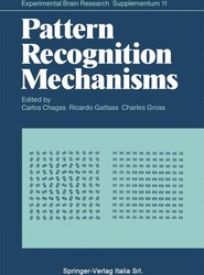 Pattern Recognition Mechanisms