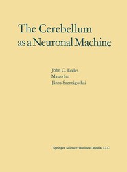 The Cerebellum as a Neuronal Machine