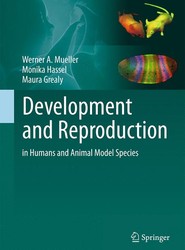 Development and Reproduction in Humans and Animal Model Species