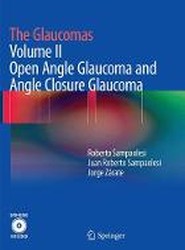 The Glaucomas