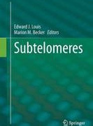 Subtelomeres