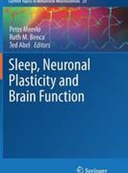 Sleep, Neuronal Plasticity and Brain Function