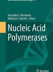 Nucleic Acid Polymerases