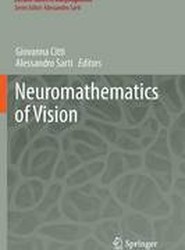 Neuromathematics of Vision