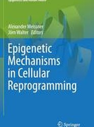 Epigenetic Mechanisms in Cellular Reprogramming