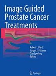 Image Guided Prostate Cancer Treatments