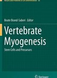 Vertebrate Myogenesis