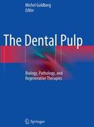 The Dental Pulp