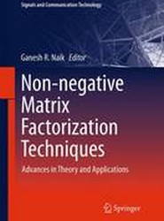 Non-negative Matrix Factorization Techniques