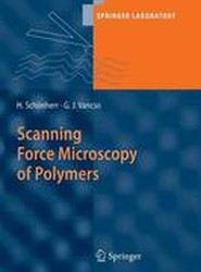 Scanning Force Microscopy of Polymers
