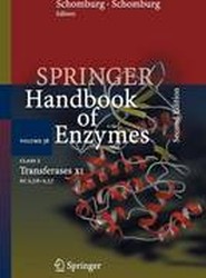 Class 2 Transferases XI