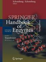 Class 2 Transferases