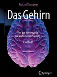Das Gehirn