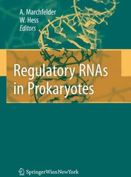 Regulatory RNAs in Prokaryotes