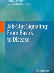 Jak-Stat Signaling : From Basics to Disease