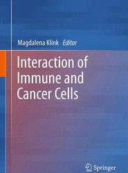 Interaction of Immune and Cancer Cells