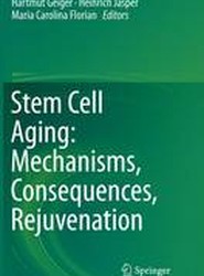 Stem Cell Aging: Mechanisms, Consequences, Rejuvenation