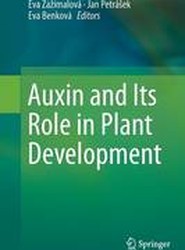 Auxin and Its Role in Plant Development